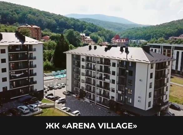 Інші проєкти Arena Bud